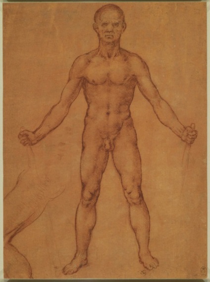 Anatómiai rajzok Leonardo da Vinci