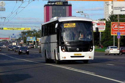 Bus St. Petersburg címek, telefonszámok