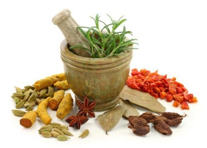 Ayurveda - a szabályok szerint az ellátás (tanításai Ayurveda áram) Ayurveda - Melyik a szabályok szerint