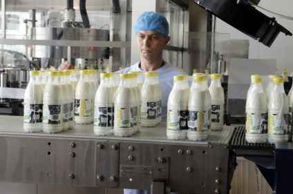 Üzleti terv rendezésére eladásra tejtermékek - a legjobb üzleti ötletek