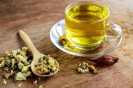 Krizantém tea, haszon és kár, használata
