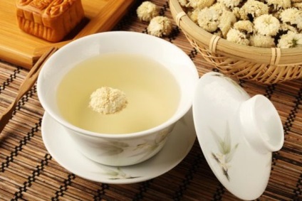 Krizantém tea, haszon és kár, használata (krizantém) Krizantém tea, haszon és kár, használata