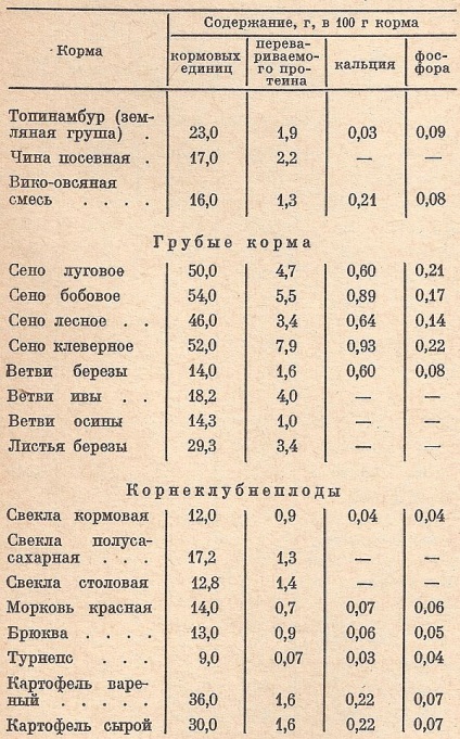 Mi a takarmány nutria, a legfőbb mezőgazdasági portál - szól az üzleti mezőgazdaságban (naponta egyenként) Mi a takarmány nutria, a legfőbb mezőgazdasági portál - szól az üzleti mezőgazdaság