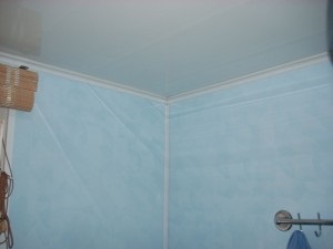 Hogyan díszíteni a falat a WC és a fürdőszoba csempe kivételével