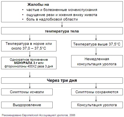 Hólyaghurut meghatározása, tünetei, kezelése