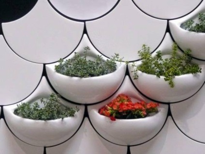 Virágok az ablakpárkányon túl unalmas! 10 legjobb ötletek a hajlam a növények városi lakás