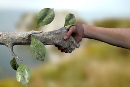 Dendroterapiya - energetikai kezelés fák - egészséges élettartam