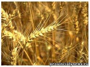 Szerződések különösen fontos szerződés feltételeinek ajánlatkérő (feltételek) Szerződések különösen fontos szerződés feltételeinek ajánlatkérő