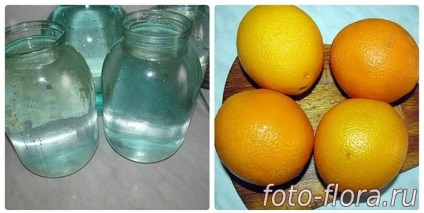 Házi limonádé a narancs - hazai italok (narancs otthon) Házi limonádé a narancs - hazai italok