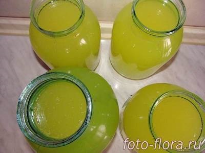 Házi limonádé a narancs - hazai italok (narancssárga) Házi limonádé a narancs - hazai italok