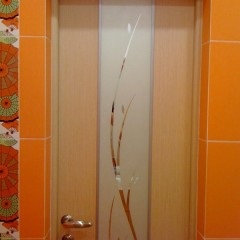 Az ajtók a fürdőszoba és WC fotó (ajtók) Az ajtó a fürdőszoba és WC-vel fotó