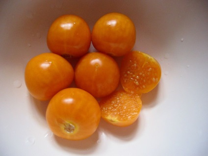 Physalis fotó és fajok termesztése és gondozása növények (köpeny egres) Physalis fotó és fajok termesztése és gondozása növények