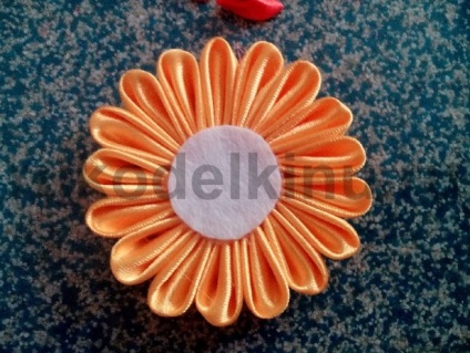 Gerbera kanzasi a szakterületen (technológia) Gerber Technology kanzasi