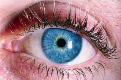 Kék szem színe megjelent 10.000 évvel ezelőtt miatt génmutáció, a tudomány vita