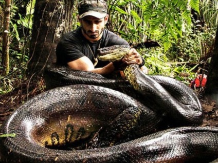 Snake horoszkóp 2016 és pénzügyi horoszkóp szerelem férfi és nő a kígyó, a karrier és az egészség (2016) Snake horoszkóp 2016 és pénzügyi horoszkóp szerelem férfi és nő a kígyó, a karrier és az egészség