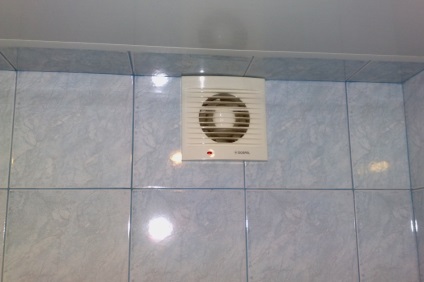 Gomba a fürdőszobában a falra -, hogyan lehet megszabadulni a megelőző intézkedések