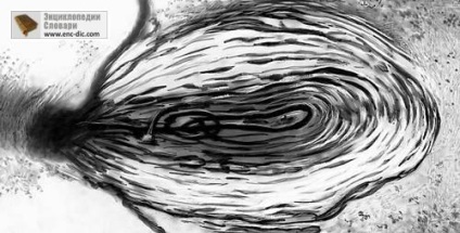 Interoreceptors - Nagy Szovjet Enciklopédia - Encyclopedia & amp; szótárak (nagy) Interoreceptors - Nagy Szovjet Enciklopédia - Encyclopedia & amp; szótárak