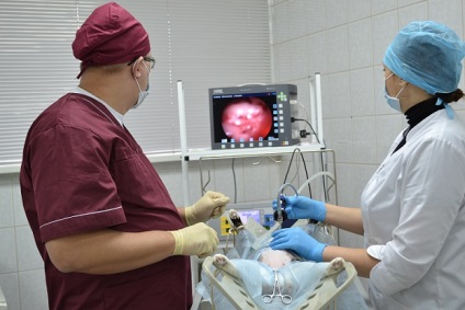 Izhevskaya állatorvosi állomás (gorsbbzh) (Veterinary Clinic) Izhevskaya állatorvosi (gorsbbzh)
