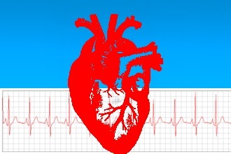 Változások a szívizomban a szív - kifejezni, és a kisebb hegek