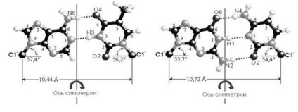 Négy nukleotid, az úgynevezett adenin, guanin, timin, citozin és uracil, ők (úgynevezett) Négy nukleotid, az úgynevezett adenin, guanin, timin, citozin és uracil, ők