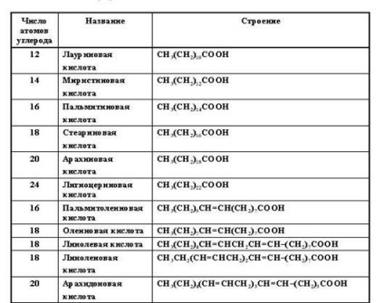 Négy nukleotid, az úgynevezett adenin, guanin, timin, citozin és uracil, ők (nukleotid) Négy nukleotid, az úgynevezett adenin, guanin, timin, citozin és uracil, ők