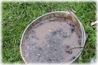 Hogyan kell kezelni a Phytophthora a burgonya népi jogorvoslati (átlag) Hogyan kell kezelni a Phytophthora a burgonya népi jogorvoslati