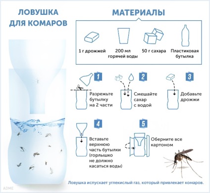 Hogyan kell kezelni a szúnyogok és harap kémia nélkül - topus - a legérdekesebb az interneten