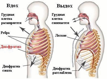 Hogyan szabad a hang (Health and Beauty) Hogyan szabad a hangját