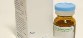 Hogyan kell szedni a Dicynone méhvérzés terhesség alatt (használati utasítás) (Dicynone) Hogyan kell szedni a Dicynone méhvérzés terhesség alatt (használati utasítás)