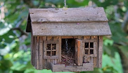 Hogyan vonzza a madarakat a kertben helyben madár házak, etetők és waterers