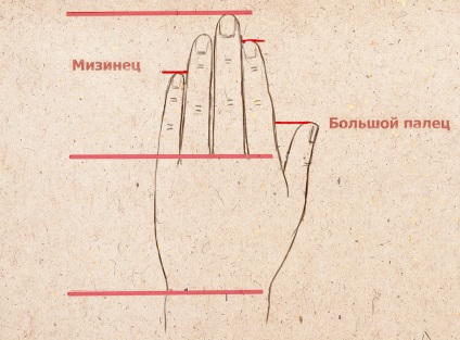 Hogyan kell felhívni az emberi kéz kéz ujjai ököl