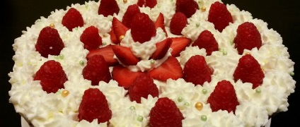 Hogyan pillangók csokoládétorta kezét, és egy fotó műhely videóval (csokoládé) Hogyan pillangók csokoládétorta kezét, és egy fotó workshop videó