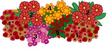 Hogyan díszíteni a házat kinti virágok (nyári virágok) Hogyan díszíteni a házat kinti virágok
