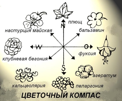 Hogyan lehet díszíteni a házat virágokkal kívül (homlokzati) Hogyan díszíteni a házat kinti virágok