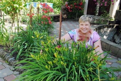 Hogyan növekszik daylilies magról