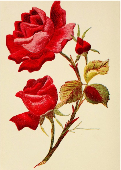 Hogyan kell varrni a rózsa a legnépszerűbb fajta kézimunka