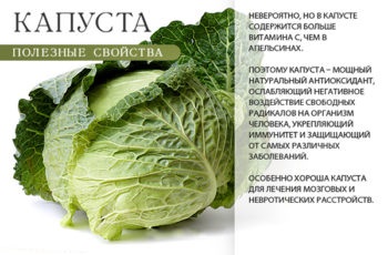 Káposztalevél tejmirigygyulladással - megtalálni a leghatékonyabb receptek (lemez) Káposztalevél tejmirigygyulladással - Ismerje meg a leghatásosabb recept