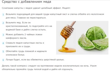 Káposztalevél tejmirigygyulladással - megtalálni a leghatékonyabb receptek (a legtöbb) Káposztalevél tejmirigygyulladással - Ismerje meg a leghatásosabb recept