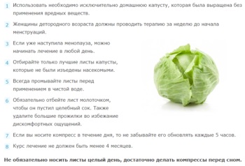 Káposztalevél tejmirigygyulladással - megtalálni a leghatékonyabb receptek (a legtöbb) Káposztalevél tejmirigygyulladással - Ismerje meg a leghatásosabb recept