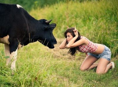 До чого сниться корова уві сні жінку та чоловіка - сонник