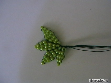 Maple gyöngyös - rajz mester osztály (master osztály) Maple Bead - áramkör mesterkurzust