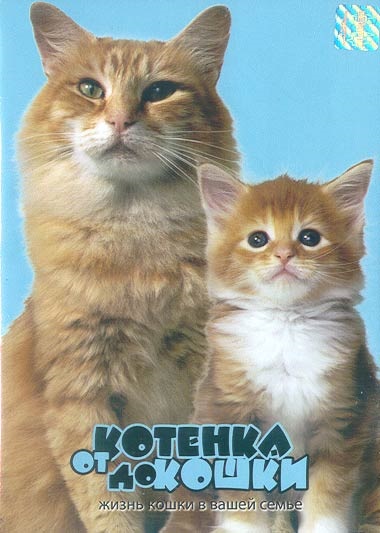 Macskák - dokumentumfilmek, TV - média (cat) Macskák - dokumentumfilmek, TV - média