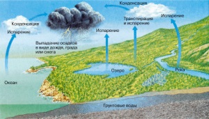 Circulation anyagok a bioszférában szén, a nitrogén, víz, oxigén, foszfor, kén