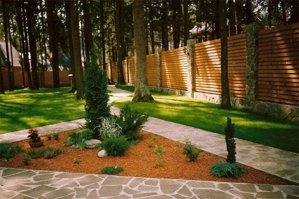 Parkosítás erdő helyén tervezés és parképítés jellemzői