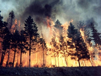 Wildfire, hogyan kell menekülni (Belépés via Facebook) Wildfire, hogyan kell menekülni