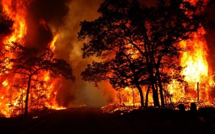 Wildfire, hogyan kell menekülni (Belépés via Facebook) Wildfire, hogyan kell menekülni