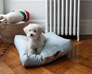 Lounger kutya saját kezűleg (lager) Lounger kutya saját kezűleg