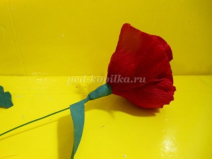 Maki krepp papír a kezét (a) Maki krepp papír saját kezűleg