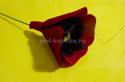 Maki krepp papír kezeddel (maki) Maki krepp papír saját kezűleg