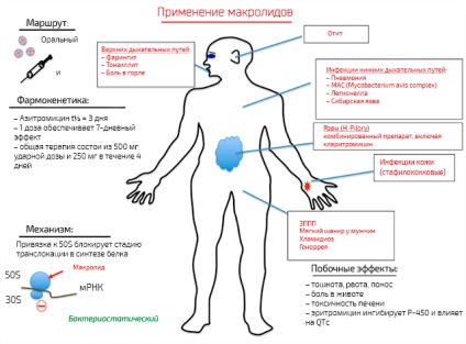 A makrolid antibiotikumok előnyei vannak a makrolidok